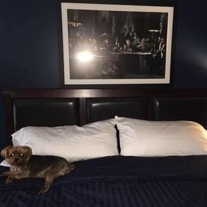 Meet your Posher, Anthony